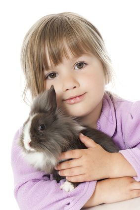 Girl with rabbit